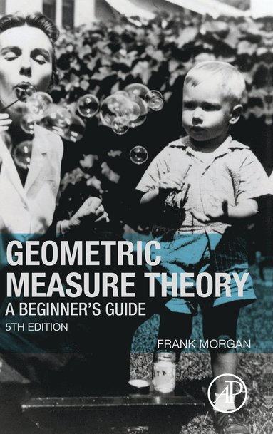 Geometric Measure Theory (inbunden)