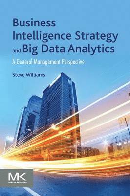 Business Intelligence Strategy and Big Data Analytics (häftad)