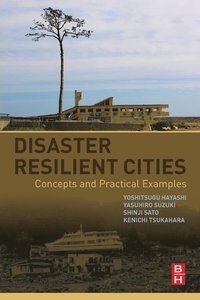 Disaster Resilient Cities (häftad)