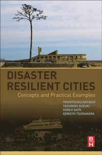 Disaster Resilient Cities (e-bok)
