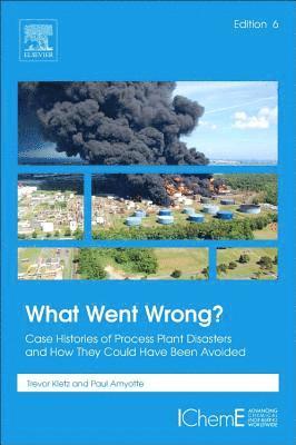 What Went Wrong? (inbunden)