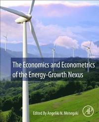 The Economics and Econometrics of the Energy-Growth Nexus (hftad)