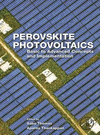 Perovskite Photovoltaics (e-bok)