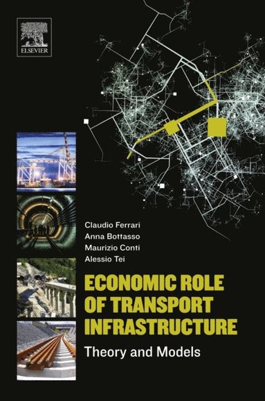 Economic Role of Transport Infrastructure (e-bok)