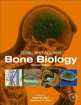 Basic and Applied Bone Biology (inbunden)