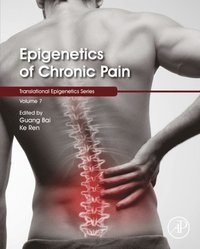Epigenetics of Chronic Pain (e-bok)