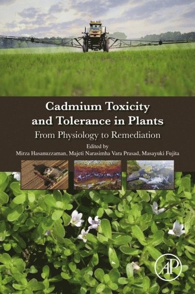 Cadmium Toxicity and Tolerance in Plants (e-bok)