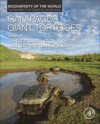 Galapagos Giant Tortoises (inbunden)
