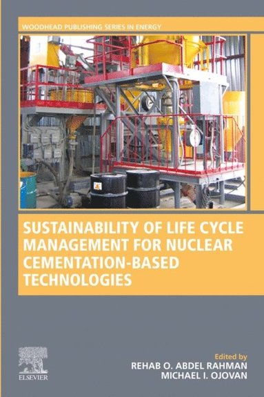 Sustainability of Life Cycle Management for Nuclear Cementation-Based Technologies (inbunden)