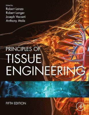 Principles of Tissue Engineering (inbunden)