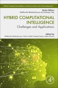 Hybrid Computational Intelligence (häftad)