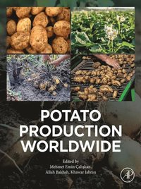 Potato Production Worldwide (e-bok)