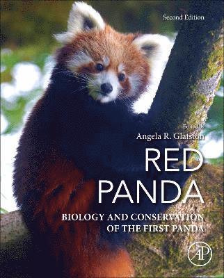 Red Panda (inbunden)