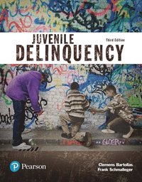 Juvenile Delinquency (Justice Series) (hftad)