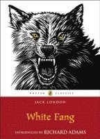 White Fang (inbunden)