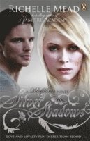 Bloodlines: Silver Shadows (book 5)