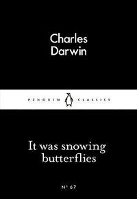 It Was Snowing Butterflies (hftad)