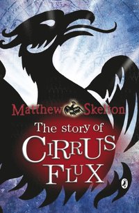 Story of Cirrus Flux (e-bok)