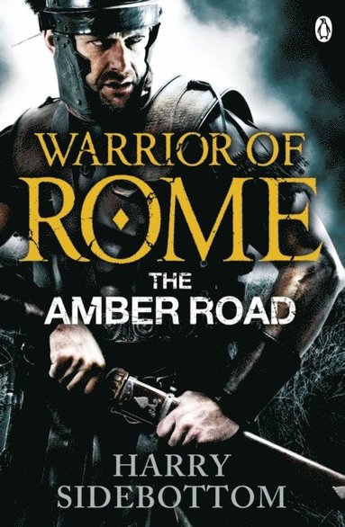 Warrior of Rome VI: The Amber Road (häftad)