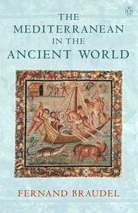Mediterranean in the Ancient World (e-bok)