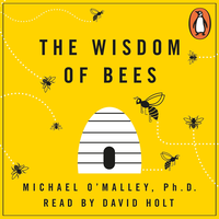 Wisdom of Bees (ljudbok)