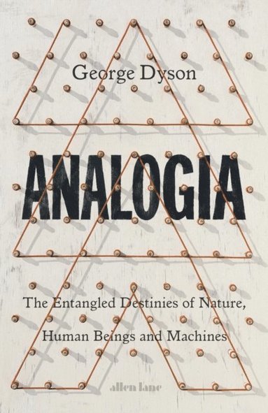 Analogia (häftad)