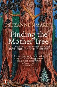 Finding the Mother Tree (häftad)