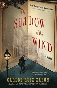 Shadow Of The Wind (hftad)