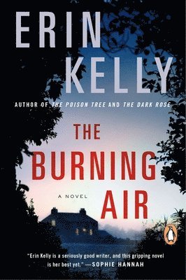The Burning Air (hftad)