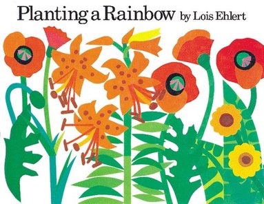 PLANTING A RAINBOW BOARD (hftad)