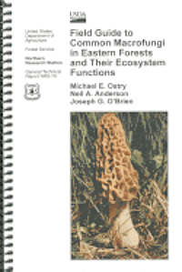 Field Guide to Common Macrofungi in Eastern Forests and Their Ecosystem Functions (inbunden)