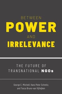 Between Power and Irrelevance (e-bok)