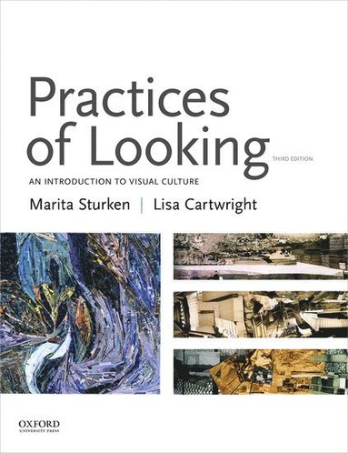 Practices of Looking (inbunden)