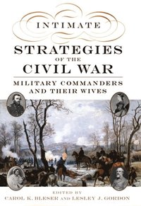Intimate Strategies of the Civil War (e-bok)