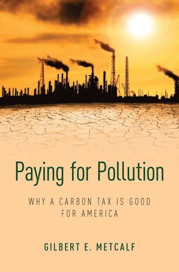 Paying for Pollution (inbunden)