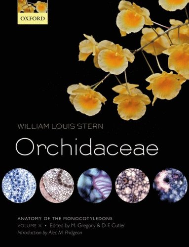 Anatomy of the Monocotyledons Volume X: Orchidaceae (häftad)