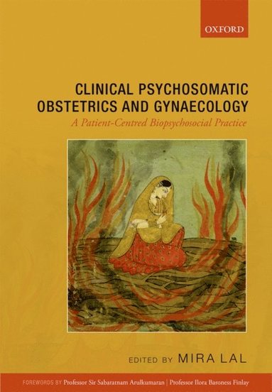 Clinical Psychosomatic Obstetrics and Gynaecology (e-bok)