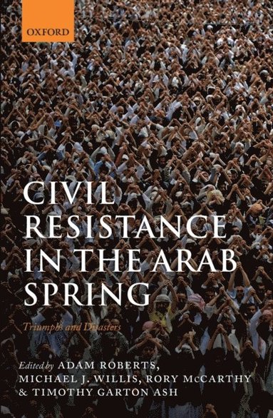 Civil Resistance in the Arab Spring (e-bok)