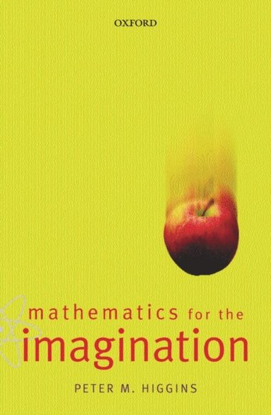 Mathematics for the Imagination (e-bok)