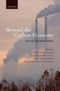 Beyond the Carbon Economy (e-bok)