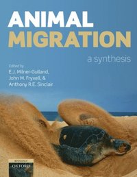 Animal Migration (e-bok)