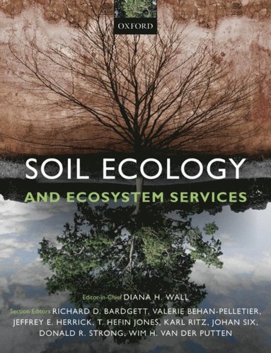 Soil Ecology and Ecosystem Services (inbunden)
