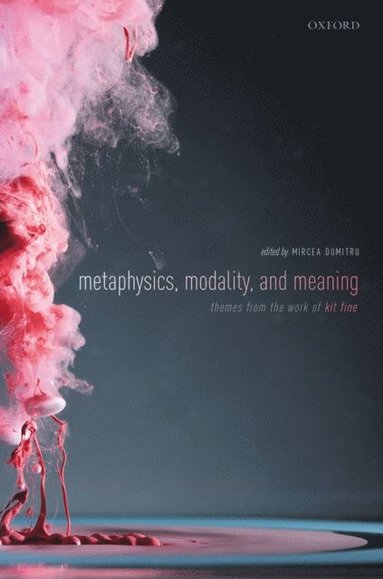 Metaphysics, Meaning, and Modality (häftad)