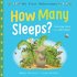 My First Milestones: How Many Sleeps?