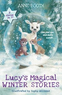 Lucy's Magical Winter Stories (hftad)