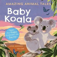 Reception/Primary 1: Amazing Animal Tales: Baby Koala (hftad)