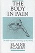 The Body in Pain