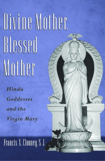 Divine Mother, Blessed Mother (inbunden)