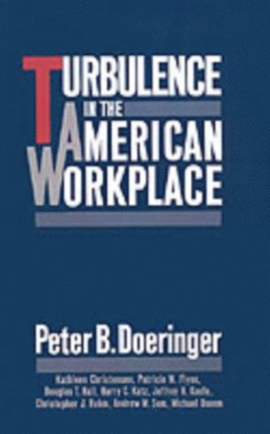Turbulence in the American Workplace (e-bok)