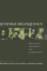 Juvenile Delinquency (e-bok)